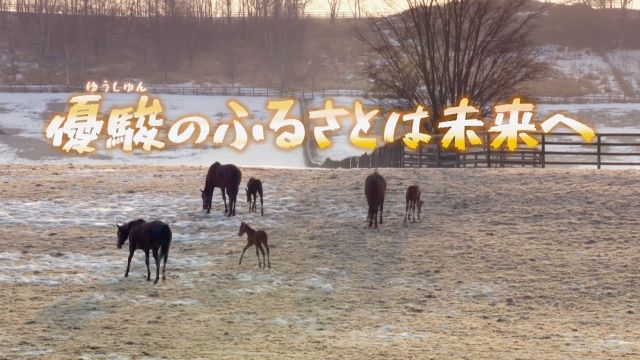 NHK「優駿のふるさとは未来へ」 スペシャルトークイベントin札幌競馬場の写真
